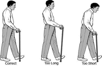 buying guide for walking sticks at true mobility didcot oxfordshire